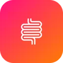 Free Intestine Anatomy Internal Icon