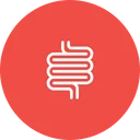 Free Intestine  Icon