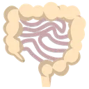 Free Intestine  Icon