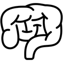 Free Intestines Abdomen Bowel Icon