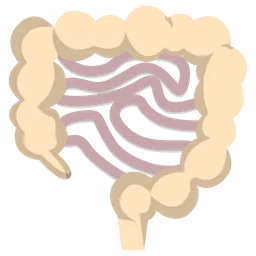 Free Intestino  Icono