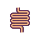 Free Intestino  Icon