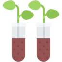 Free Investigación agrícola  Icono