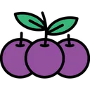 Free Jabuticaba Icon