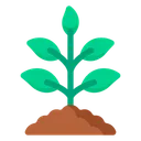 Free Jeune Arbre Plante Jardinage Icon