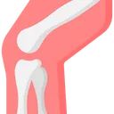 Free Joint Care Icon