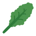 Free Kale Vegetable Healthy Icon