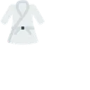 Free Karate Combattimento Cintura Icon