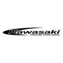 Free Kawasaki Team Racing Icon
