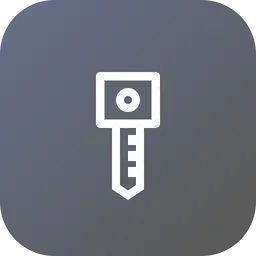 Free Key  Icon