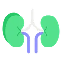Free Kidney Organ Medical Icon
