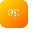 Free Kidney Organ Health Icon