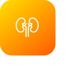 Free Kidney  Icon