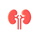 Free Kidney Organ Health Icon