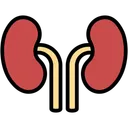 Free Kidneys Organ Body Icon