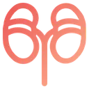 Free Kidneys Organ Human Icon