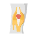 Free Bone Joints Bones Knee Joint Icon