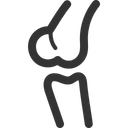 Free Knie Anatomie Korper Symbol