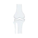 Free Knochengelenk  Symbol