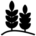 Free Lebensmittel Blattgemuse Krauter Symbol