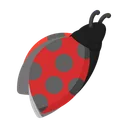 Free Ladybug  Icon