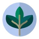 Free Leaf Nature Plant Icon