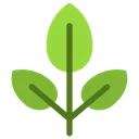 Free Leaf  Icon