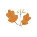 Free Leaves  Icon