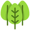 Free Leaves  Icon