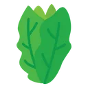 Free Lettuce Vegetable Healthy Icon