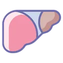 Free Liver Organ Medical Icon