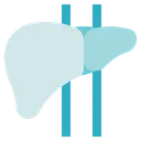 Free Biology Liver Organ Icon