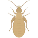 Free Louse Insect Lice Icon