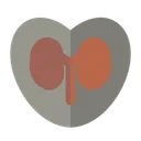 Free Love Kidney Medicine Medical Icon