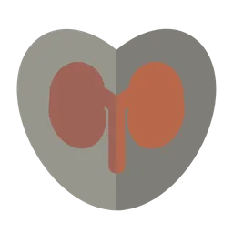Free Love Kidney  Icon