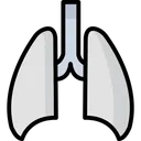 Free Lungs Anatomy Breathe Icon