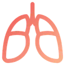 Free Lungs Organ Human Icon