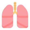 Free Flat Icon