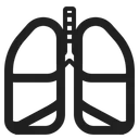 Free High Contrast Icon