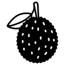 Free Lychee  Icon