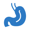 Free Magen Organ Korper Symbol