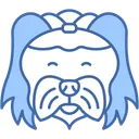 Free Maltese White Coat Mammal Icon