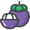 Free Mangosteen Fruit Garcinia Icon