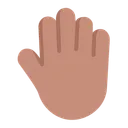 Free Dorso De La Mano Icono
