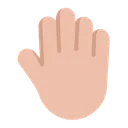 Free Dorso De La Mano Icono