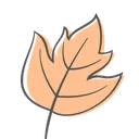 Free Maple Autumn Plant Icon