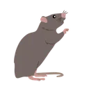 Free Maus Ratte Tier Symbol