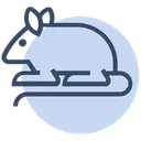 Free Corona Virus Coronavirus Symbol