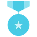 Free Medal Badge Award Icon