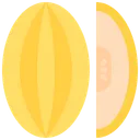 Free Melon Fruit Fresh Icon